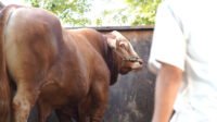 IMG_20260529_190404